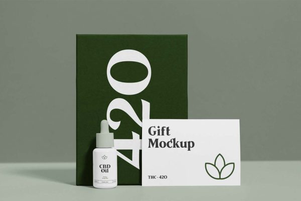 422 可商用化妆护肤品滴管Vi展示PSD样机素材 Gift Package Mockup Design yy.zip