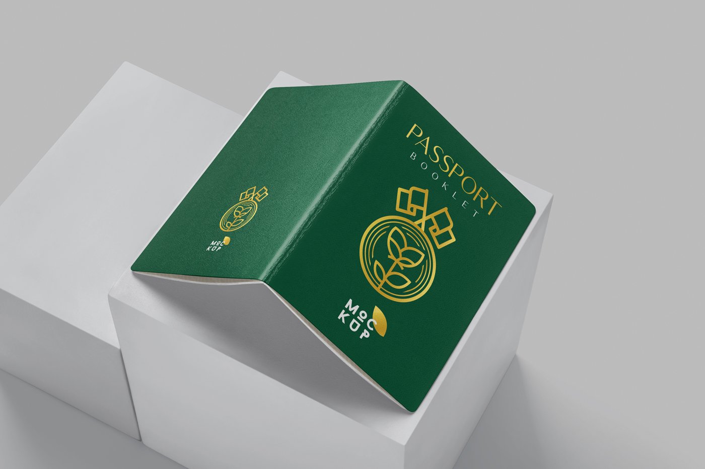 115 证件护照PSD样机 Passport Booklet Mockups