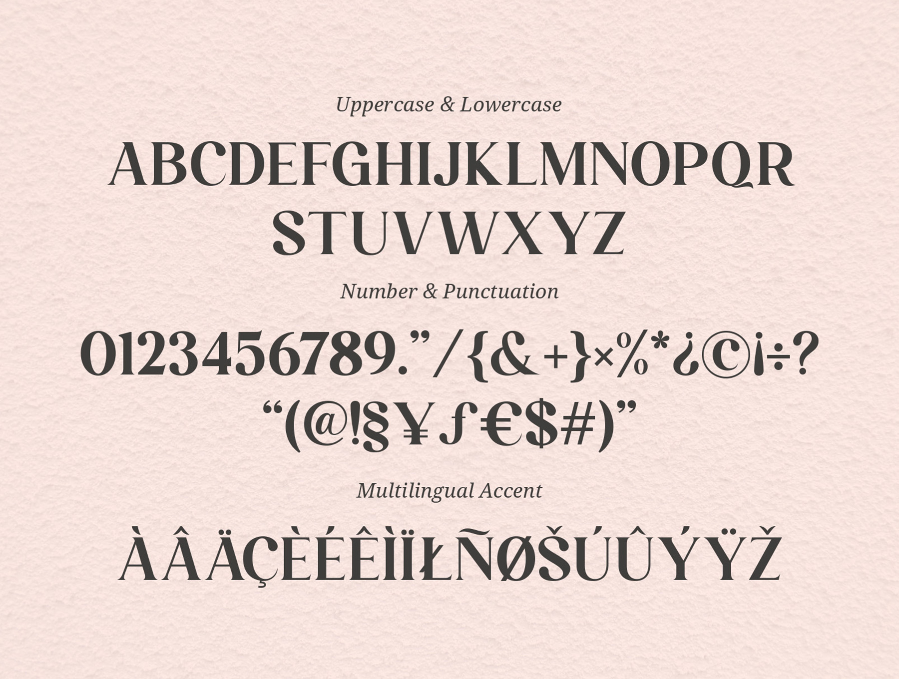 1149 创意酸性连体字体英文字体 Larissa – Stylish Ligature Typeface