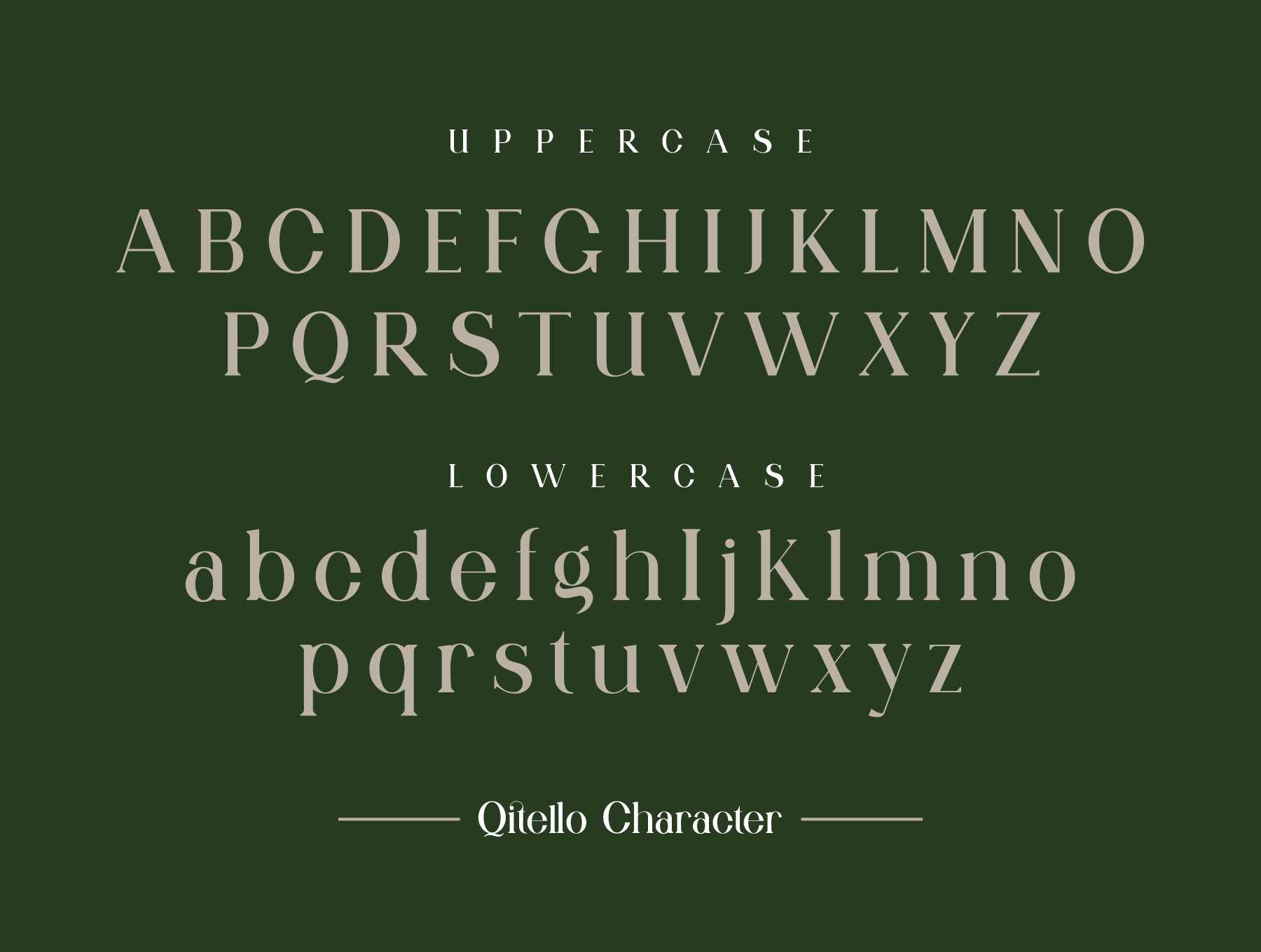 1250 连字英文衬线字体Qitello Ligature Serif Typeface