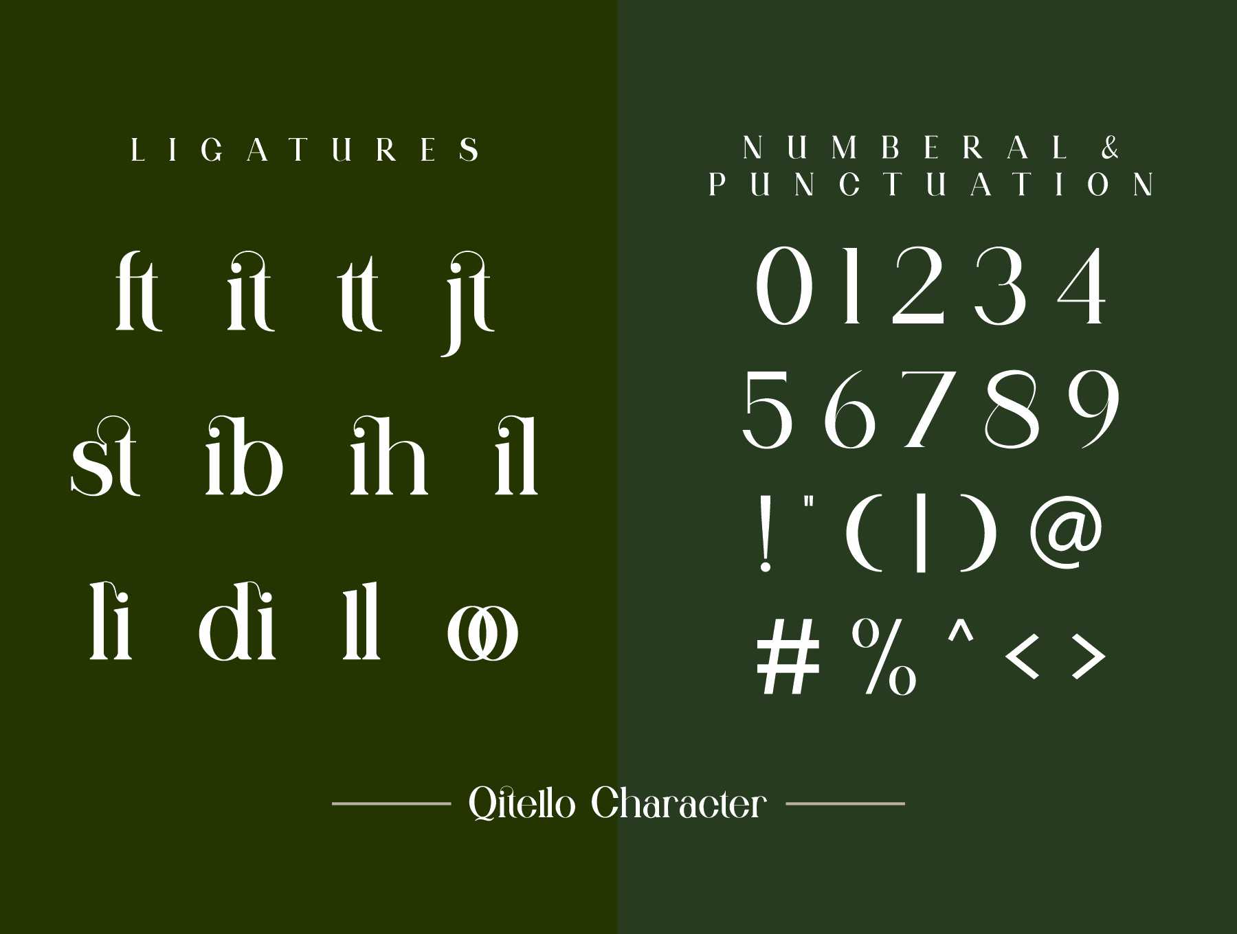 1250 连字英文衬线字体Qitello Ligature Serif Typeface