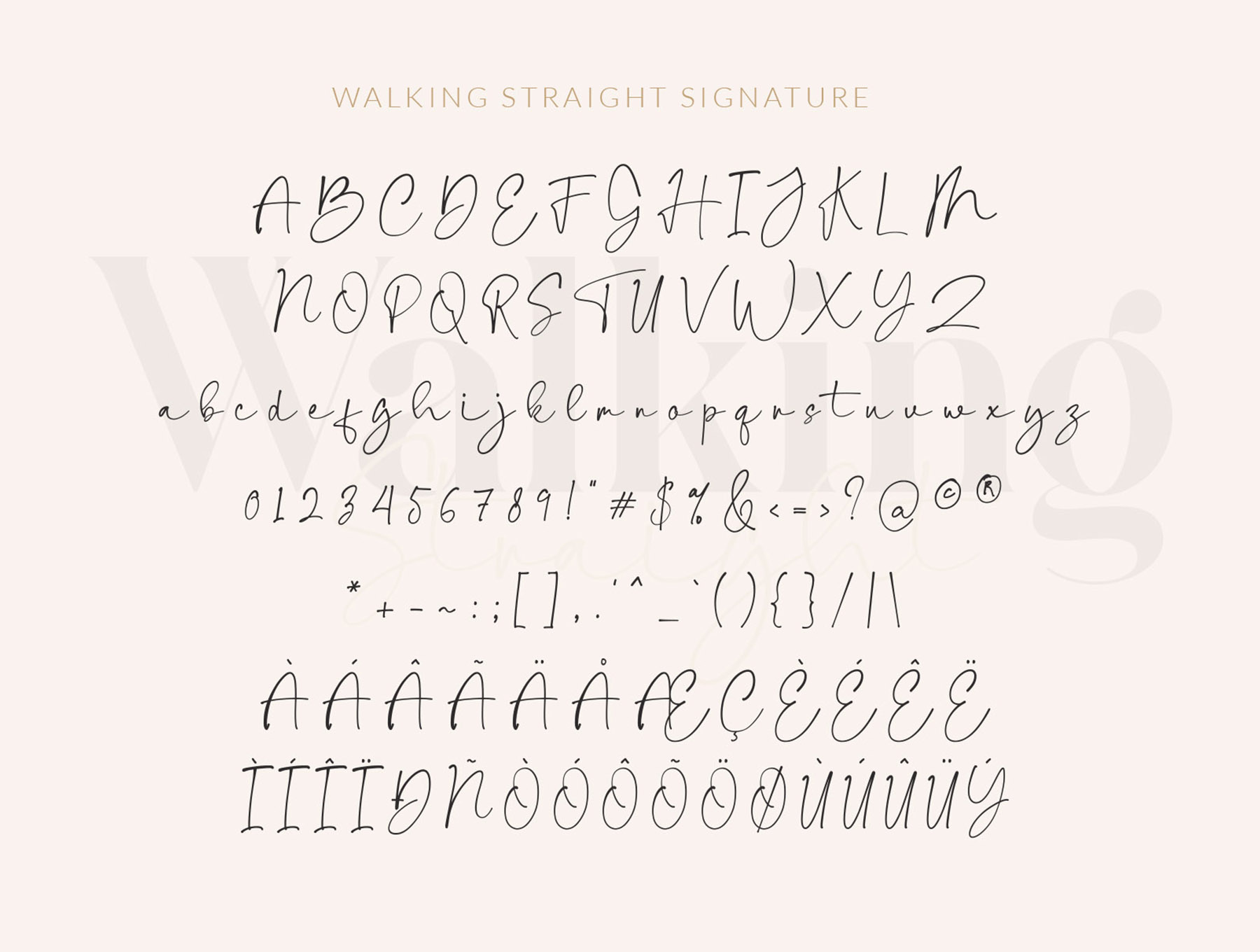 1260 现代衬线英文字体和手写签名字体 walking Straight_font duo_serif and signature typeface